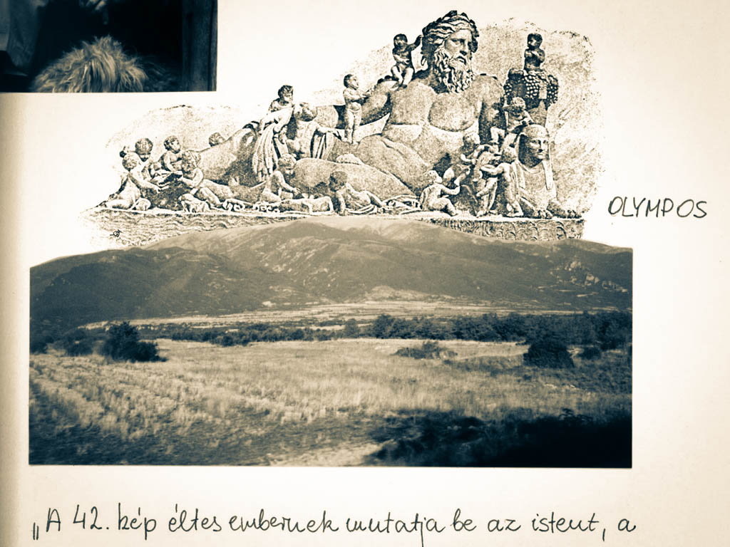 Dr. Székács István pszichoanalitikus „brigádnaplója”